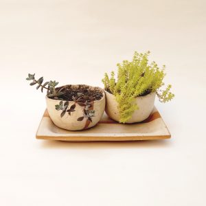Juego de maceteros modelados blancos con plato y suculentas